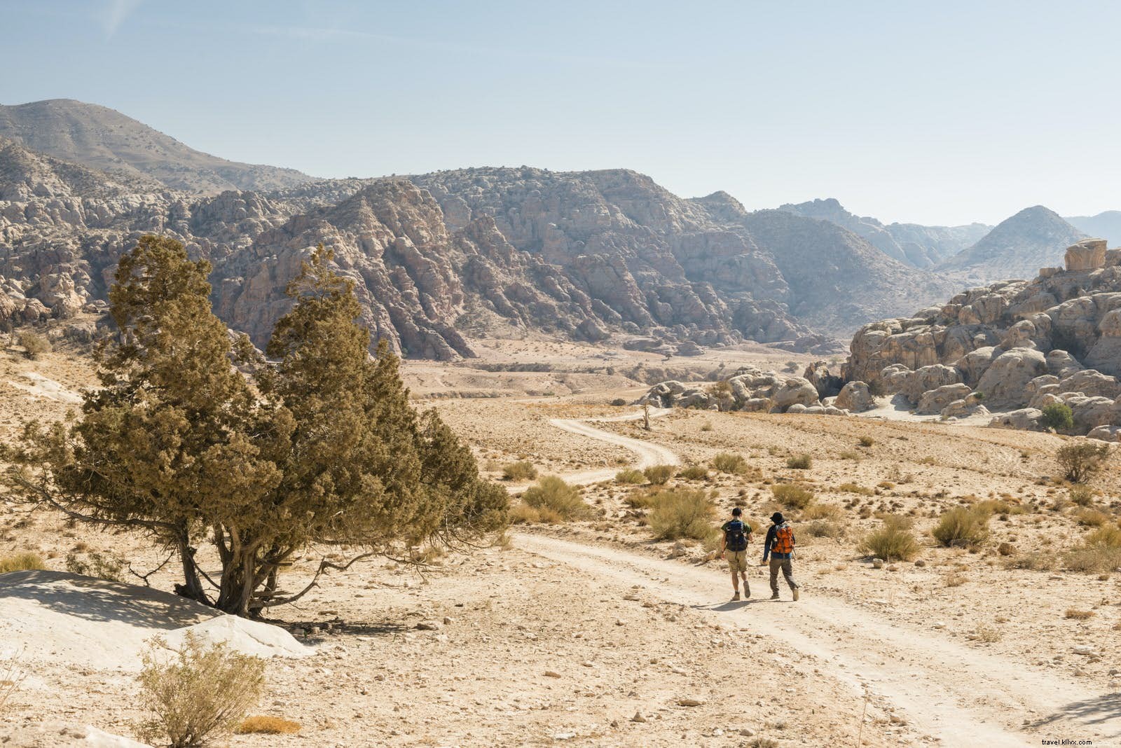 Une randonnée sacrée :du Wadi Dana à Petra le long du Jordan Trail 