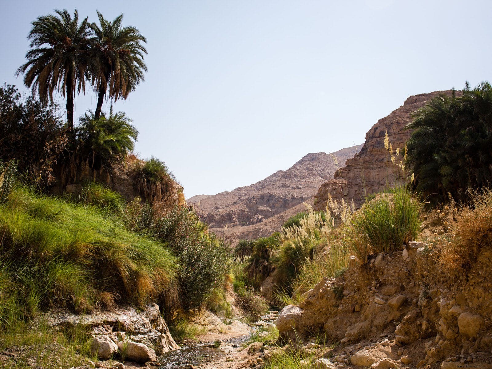 Randonnée dans les oueds et les cascades sur la côte jordanienne de la mer Morte 