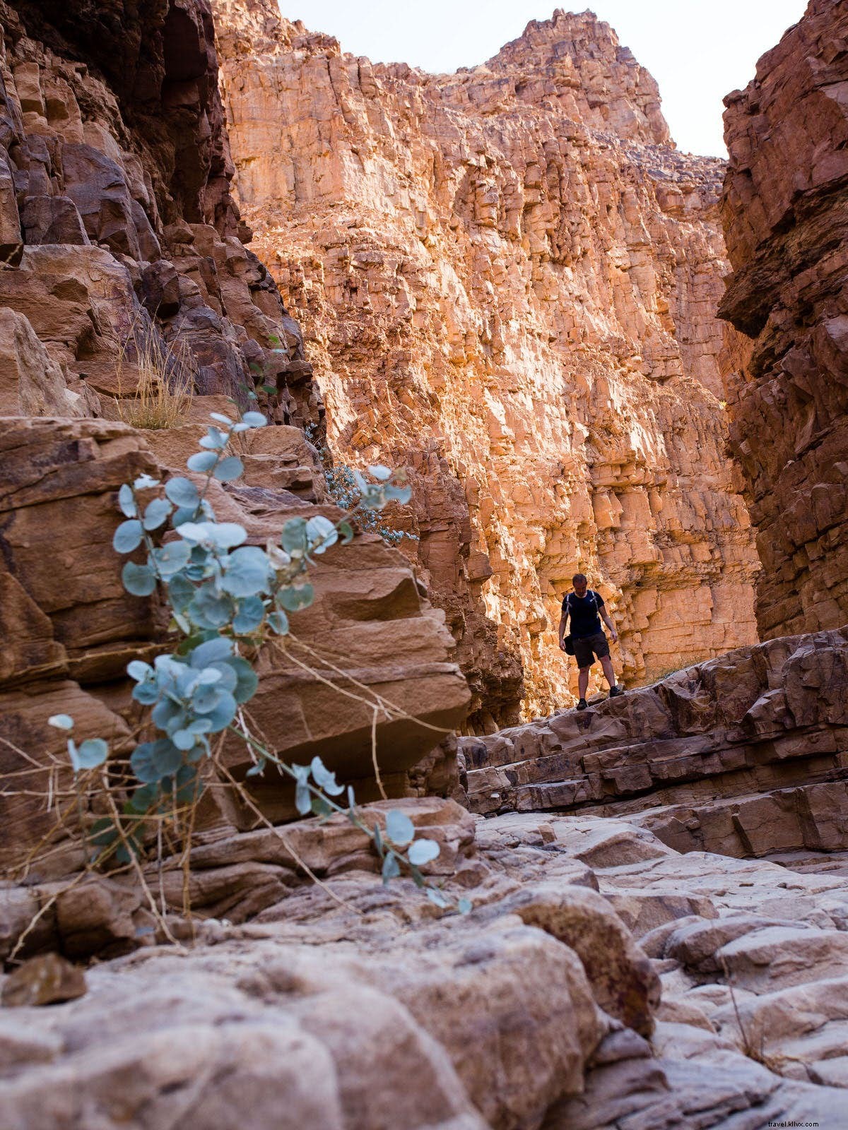 Randonnée dans les oueds et les cascades sur la côte jordanienne de la mer Morte 