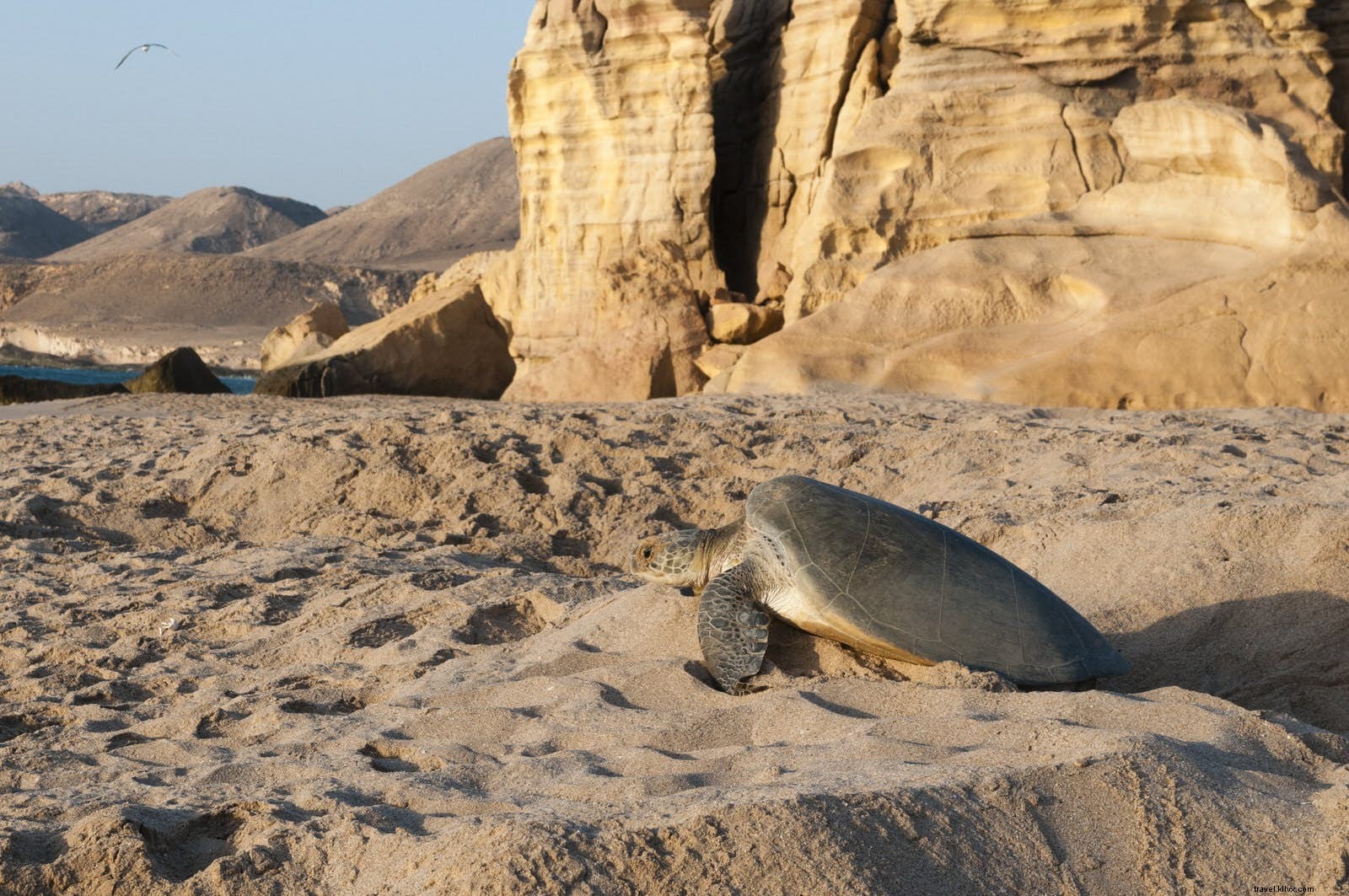 10 maravilhas naturais imperdíveis em Omã 