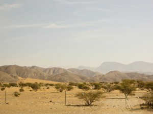Air mata gurun:menjelajahi tanah kemenyan Oman selatan 