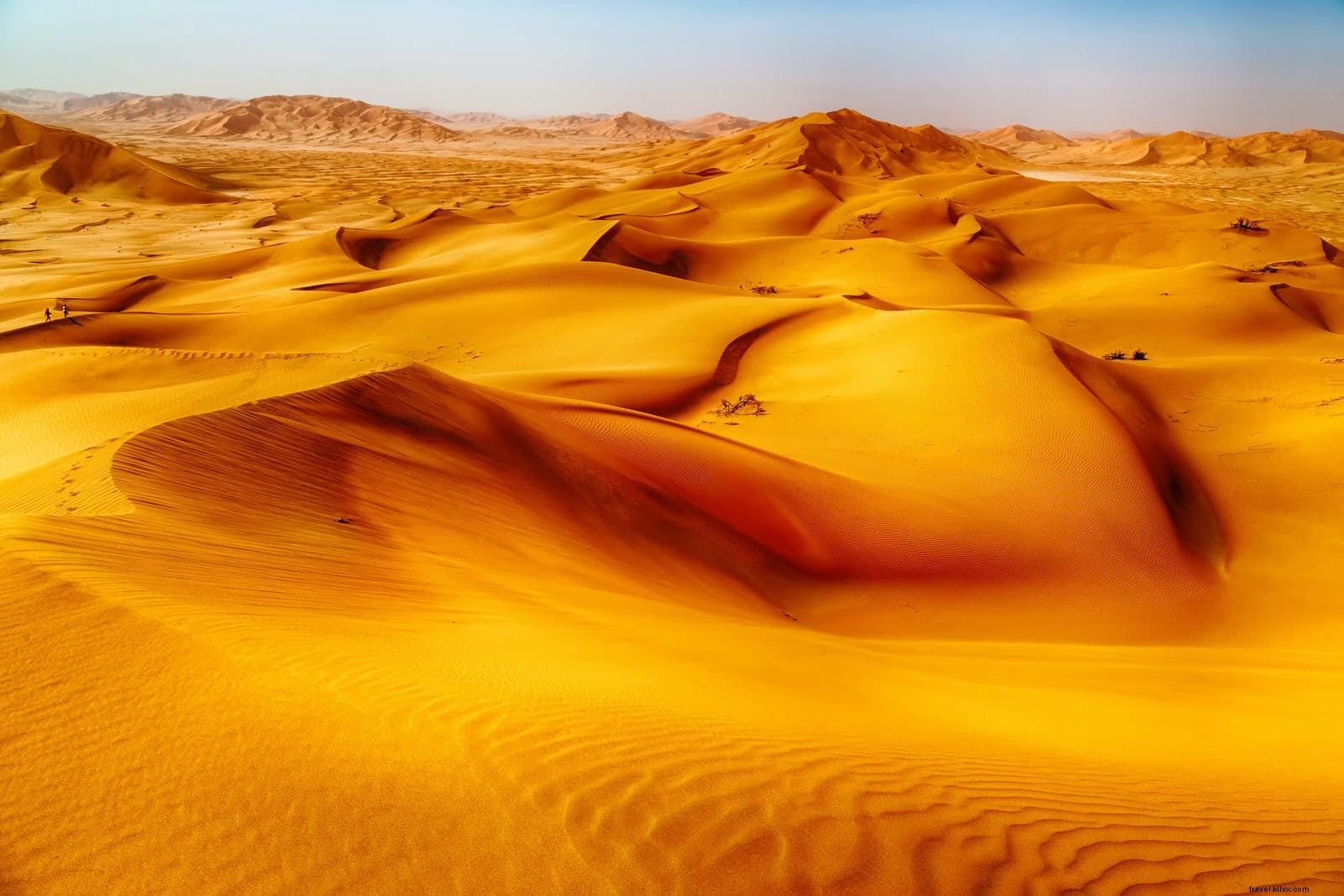 Larmes du désert :explorer la terre de l encens du sud d Oman 