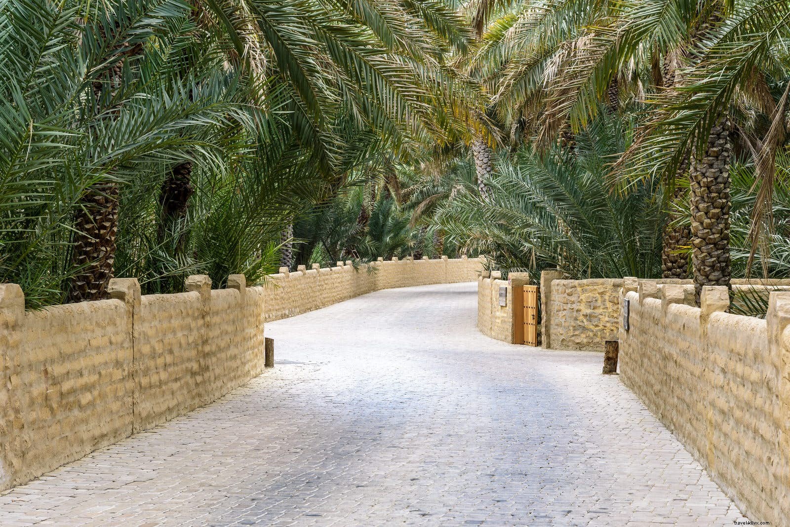 Un guide local à Abu Dhabi 