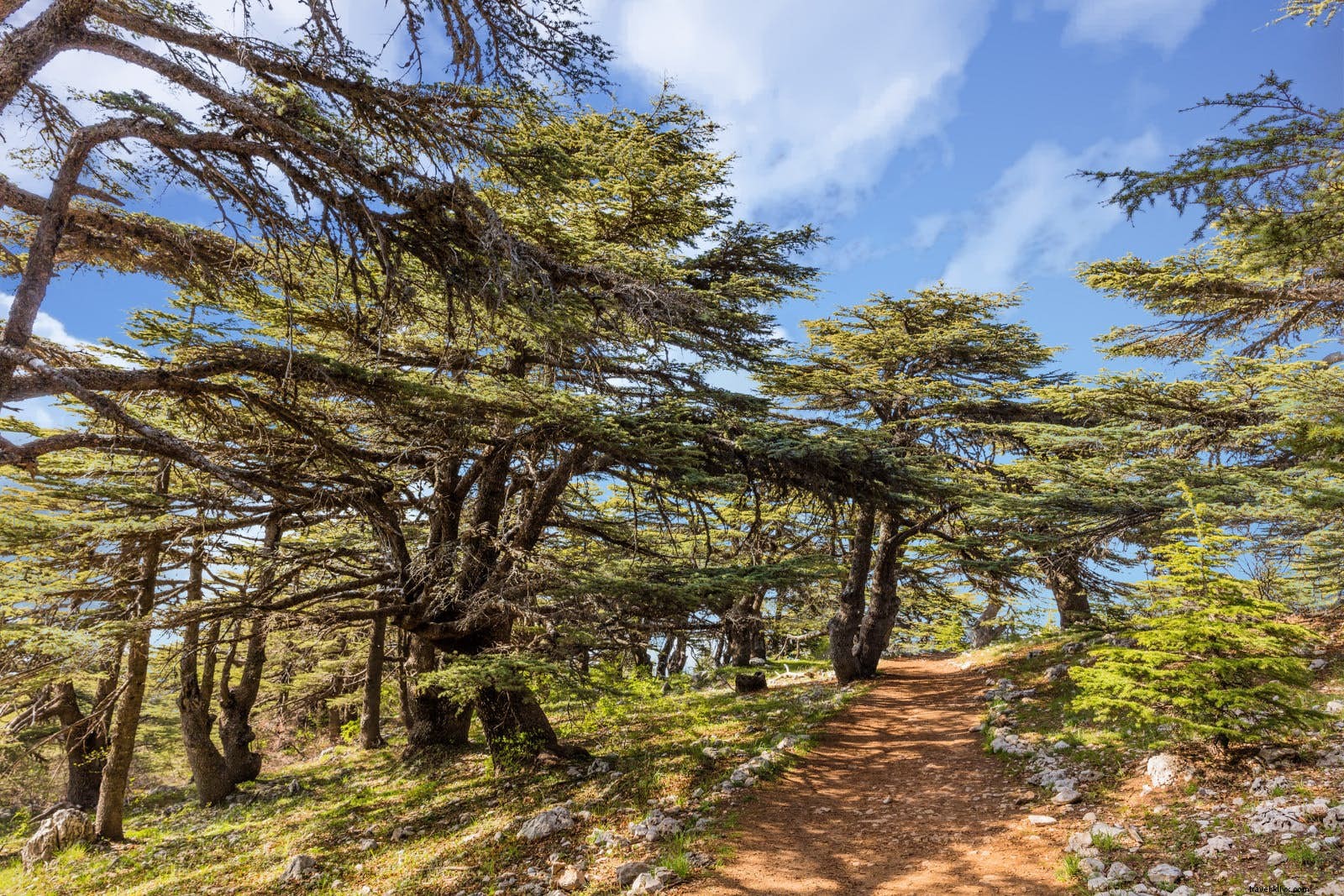 風光明媚な国境を越えたレバノンマウンテントレイルのハイキング 