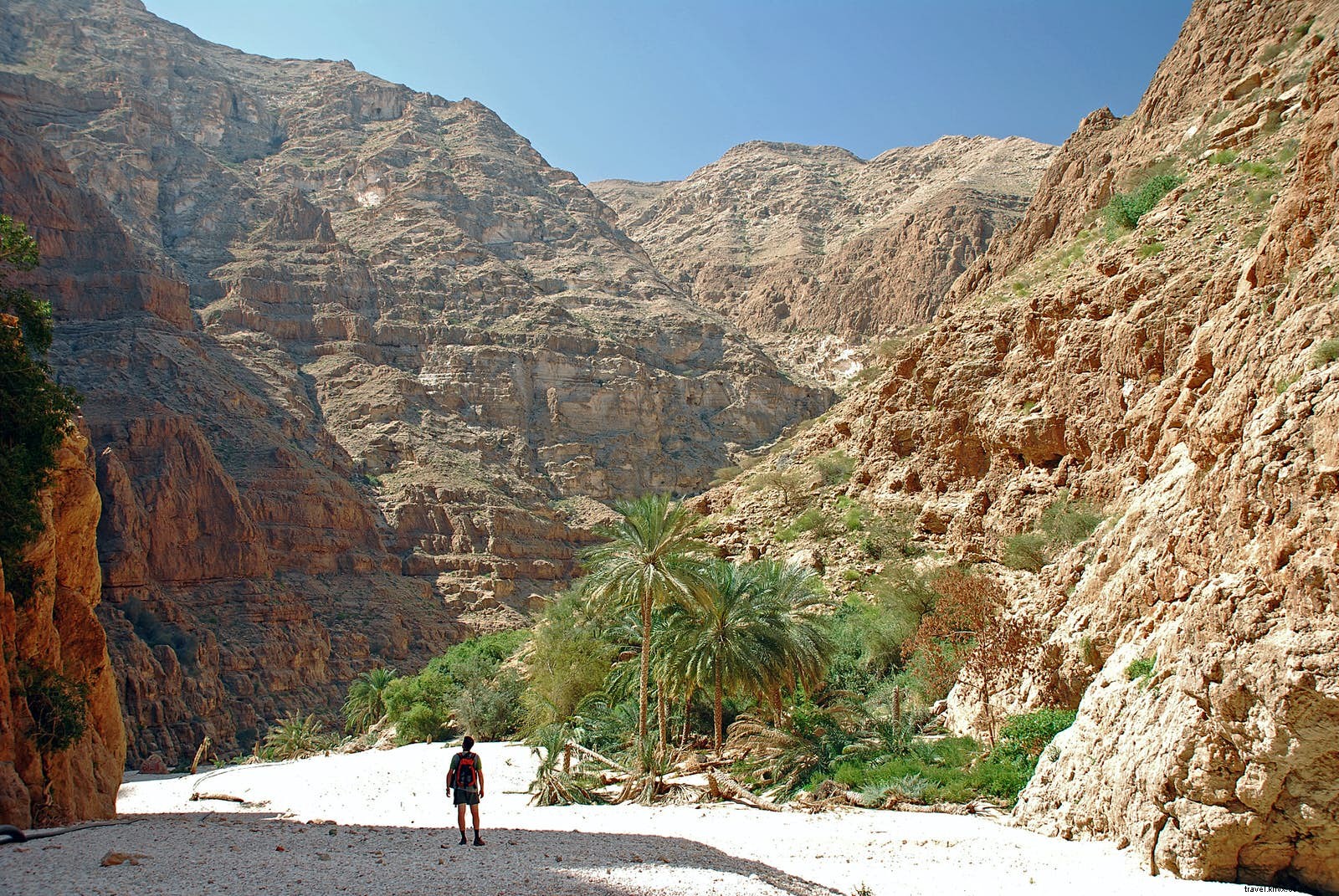 Merveilleux oueds :visite du « désert vertical » d Oman 