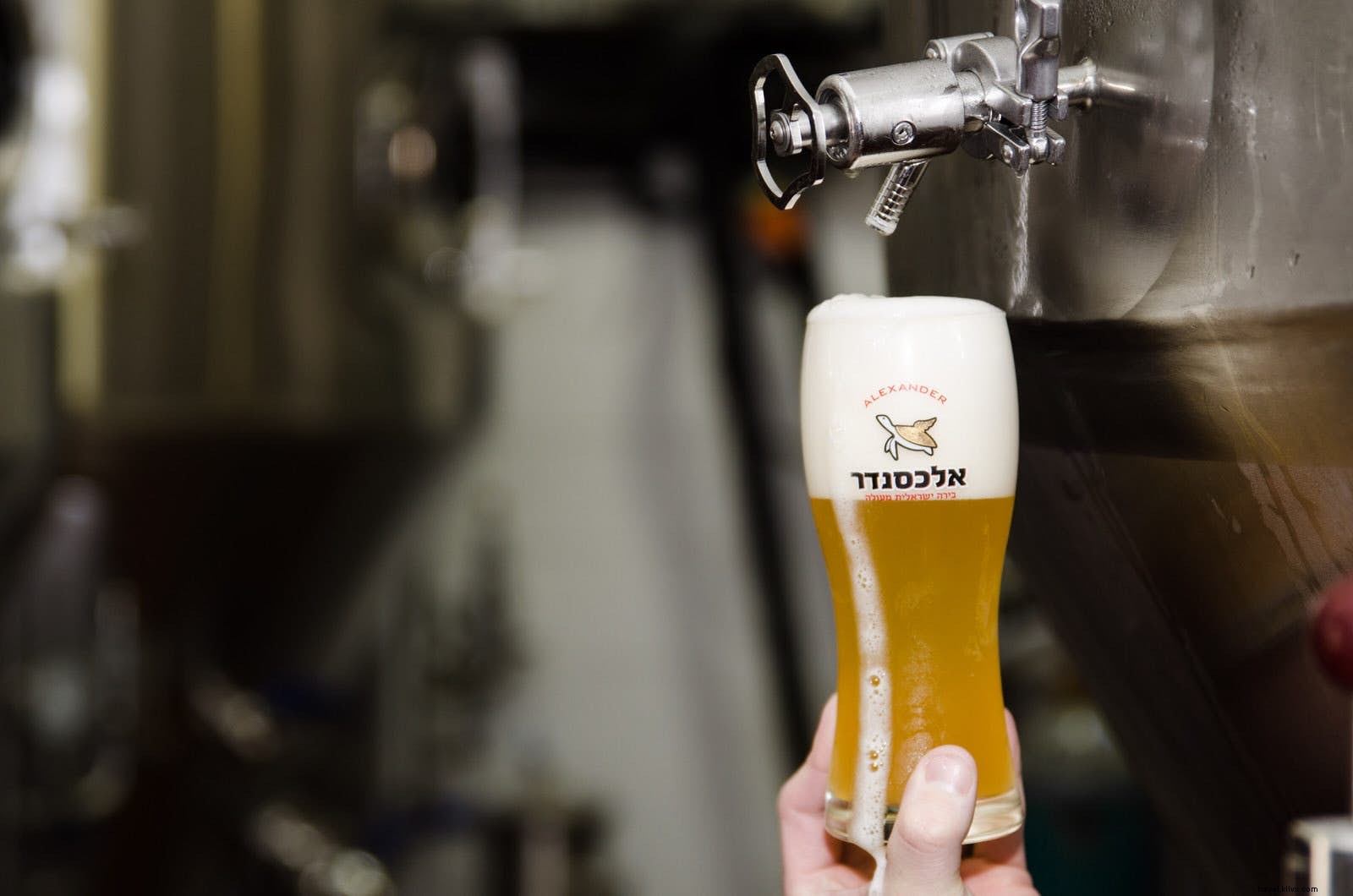 Birra in Terra Santa:le migliori birre in Israele e nei Territori Palestinesi 