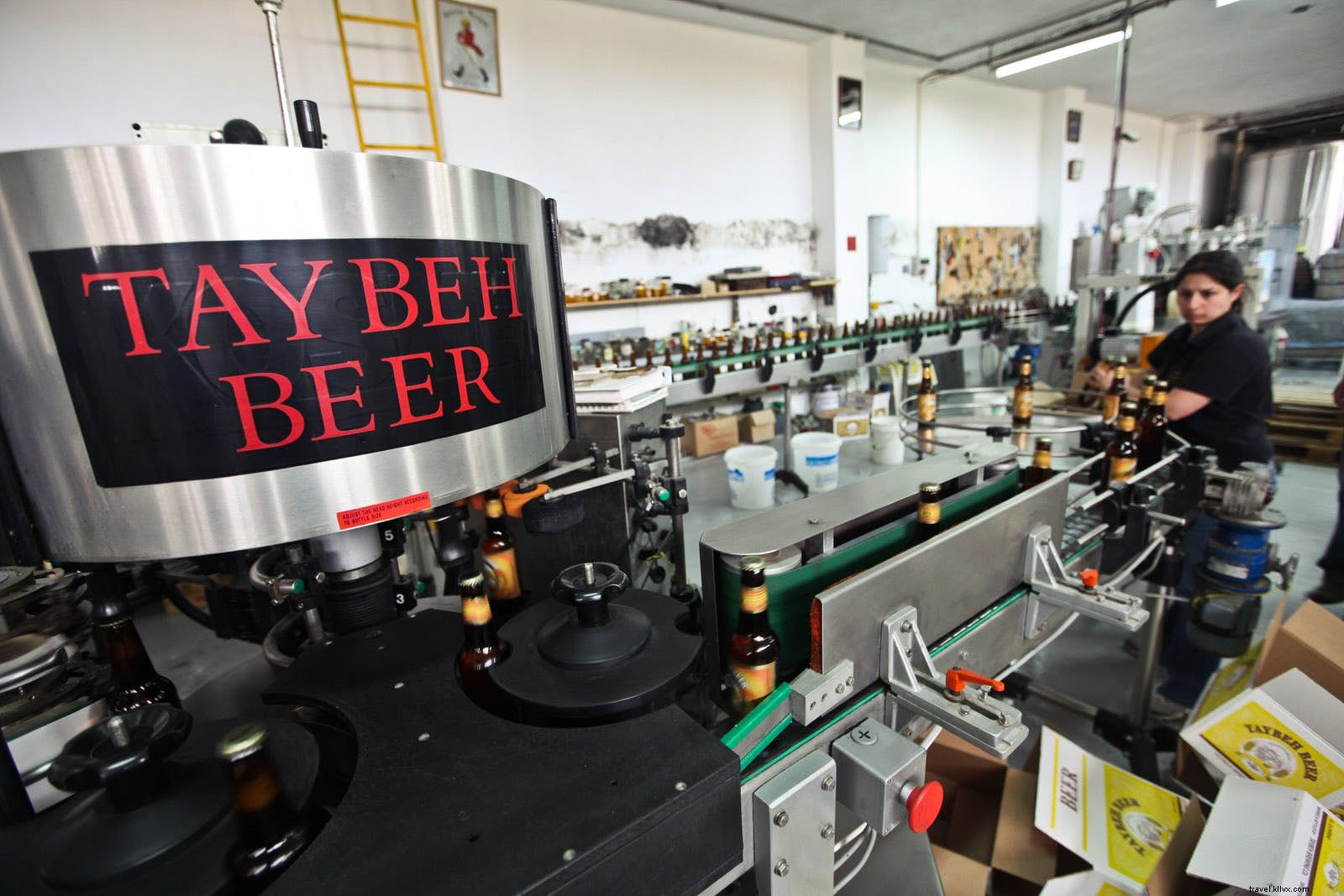 Birra in Terra Santa:le migliori birre in Israele e nei Territori Palestinesi 