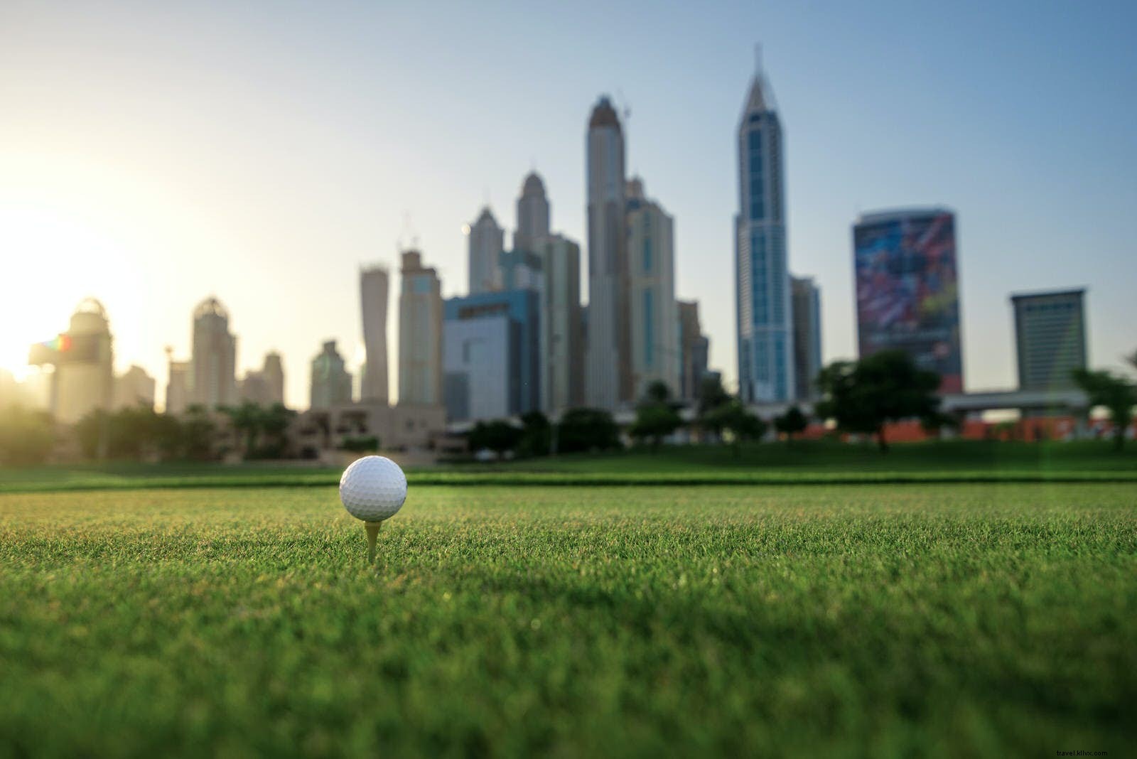 Dai cammelli al cricket:il mondo dello sport di Dubai 