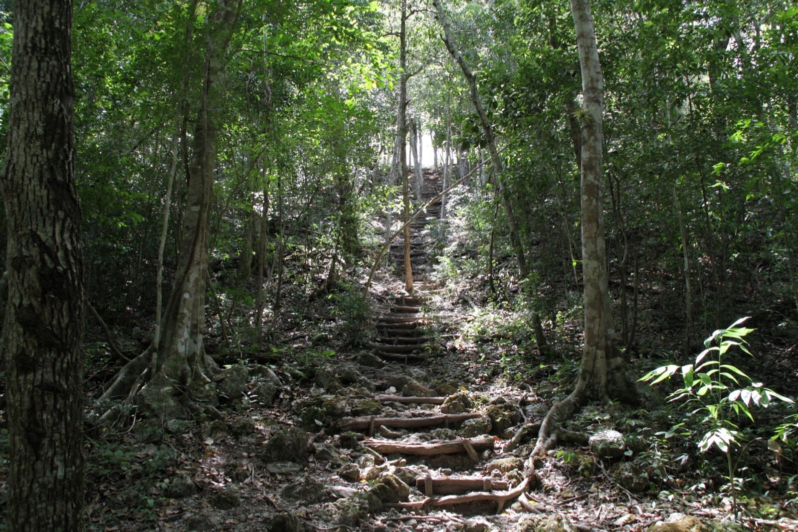Explorando El Mirador, A misteriosa ruína maia da Guatemala 