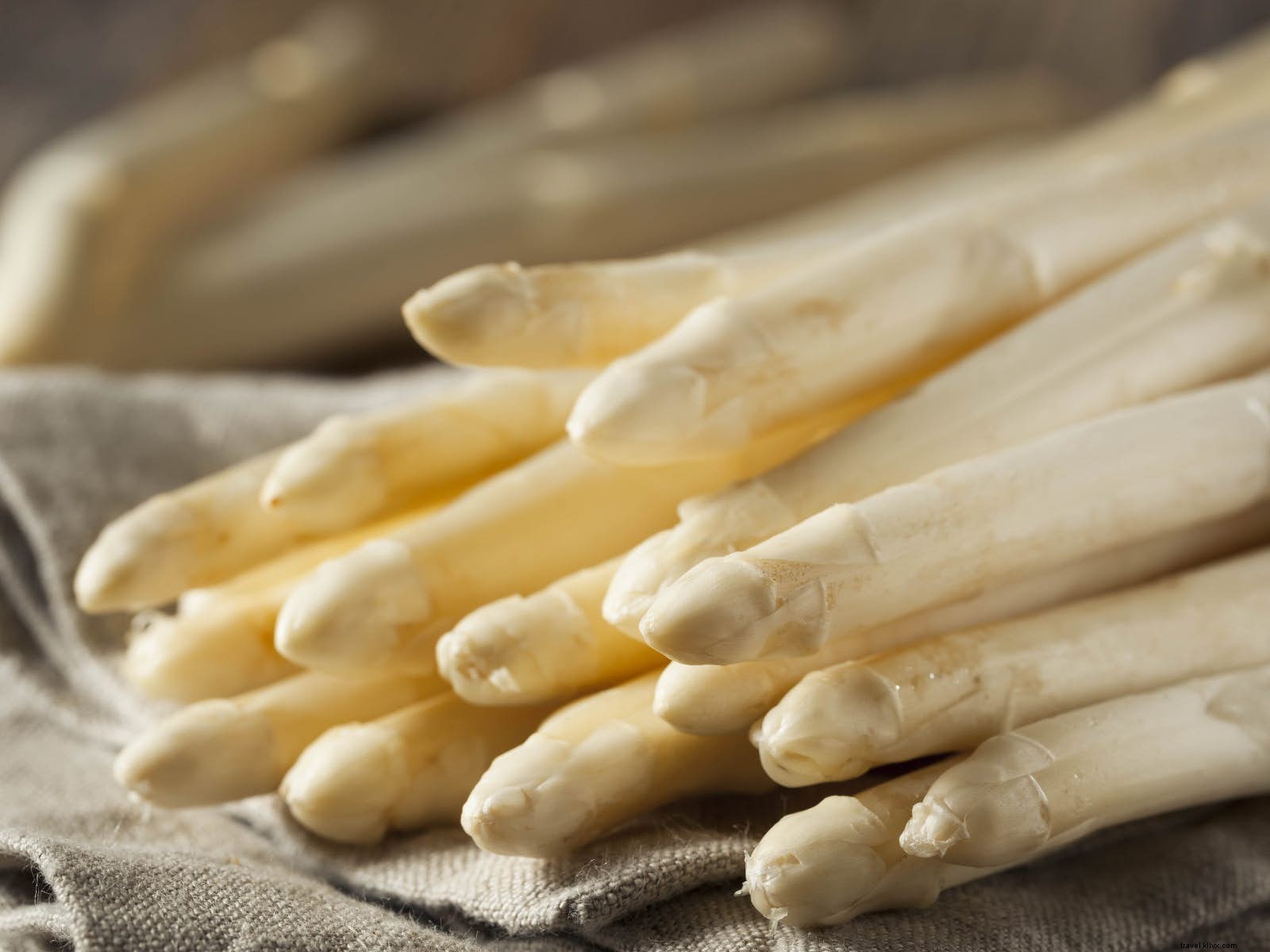 Rayakan piringnya:festival makanan yang layak dikunjungi