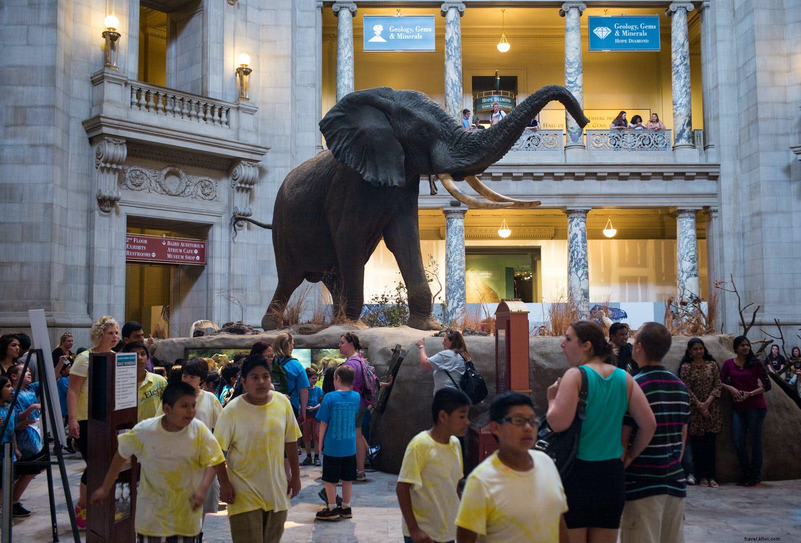 Des musées qui vous épateront 