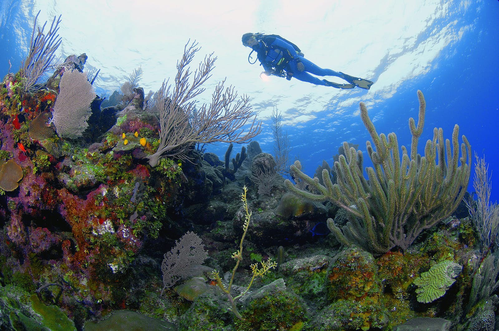 10 razões para visitar Honduras 