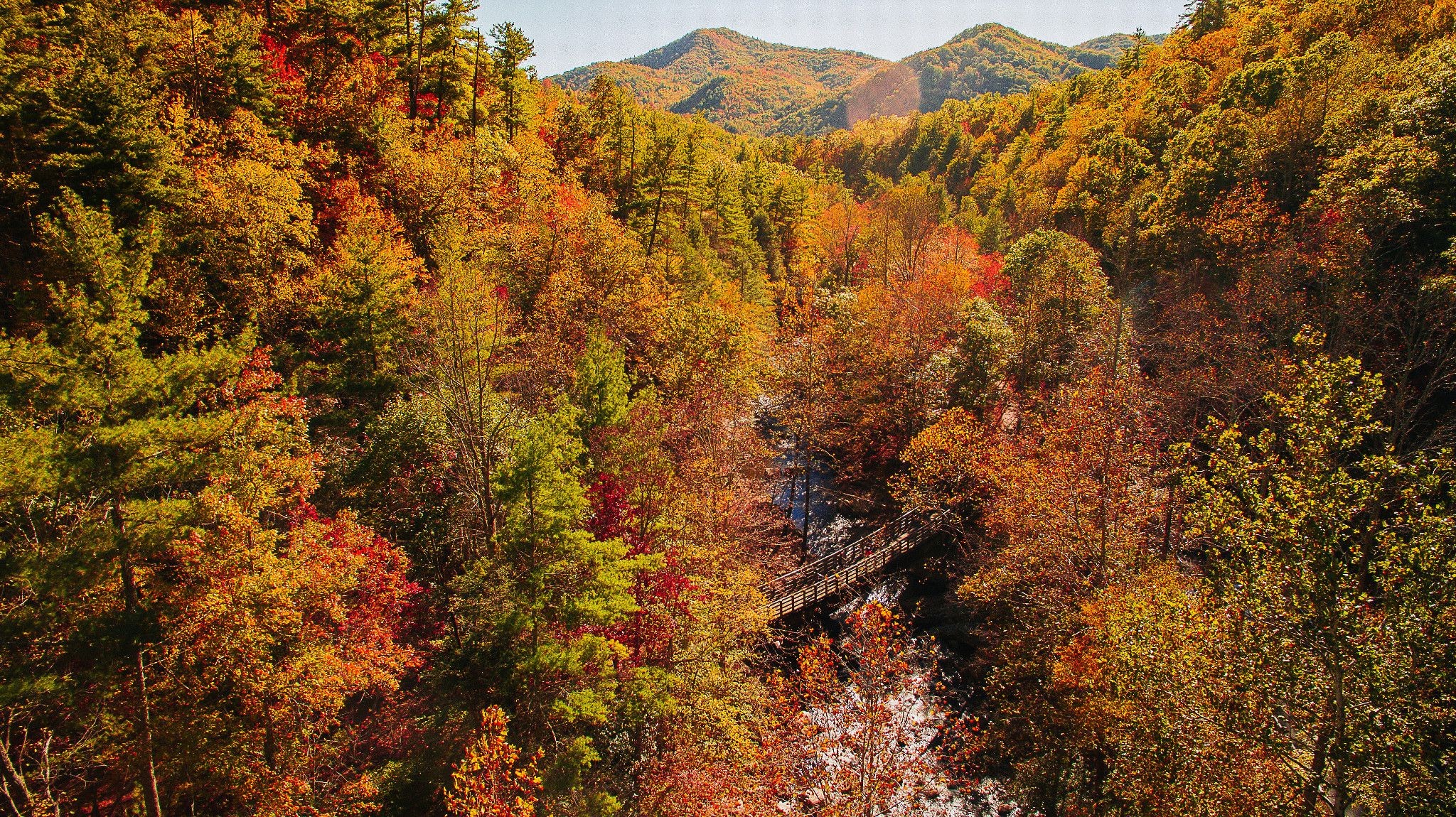 シェナンドー国立公園ではないバージニア州の紅葉を見る10の素晴らしい場所 