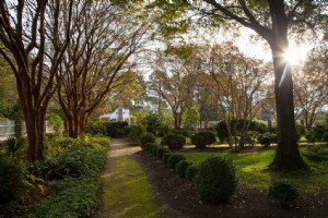 Pekan Taman Bersejarah 2021:Taman Virginia Paling Menakjubkan untuk Bunga Musim Semi 