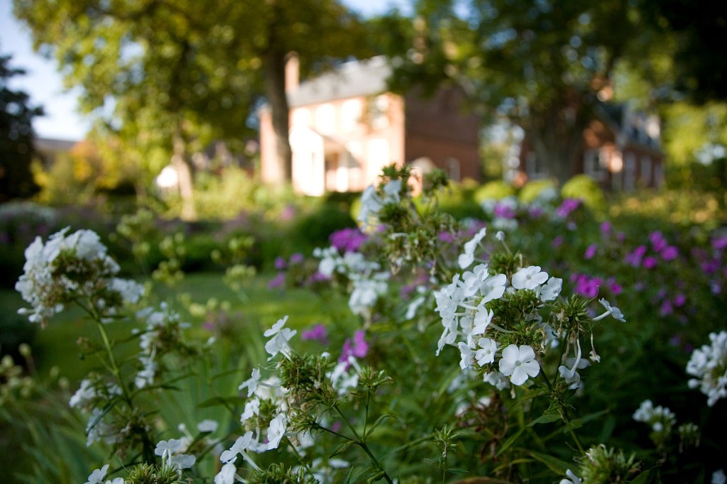 Semaine des jardins historiques 2021 :les plus beaux jardins de Virginie pour les fleurs de printemps 