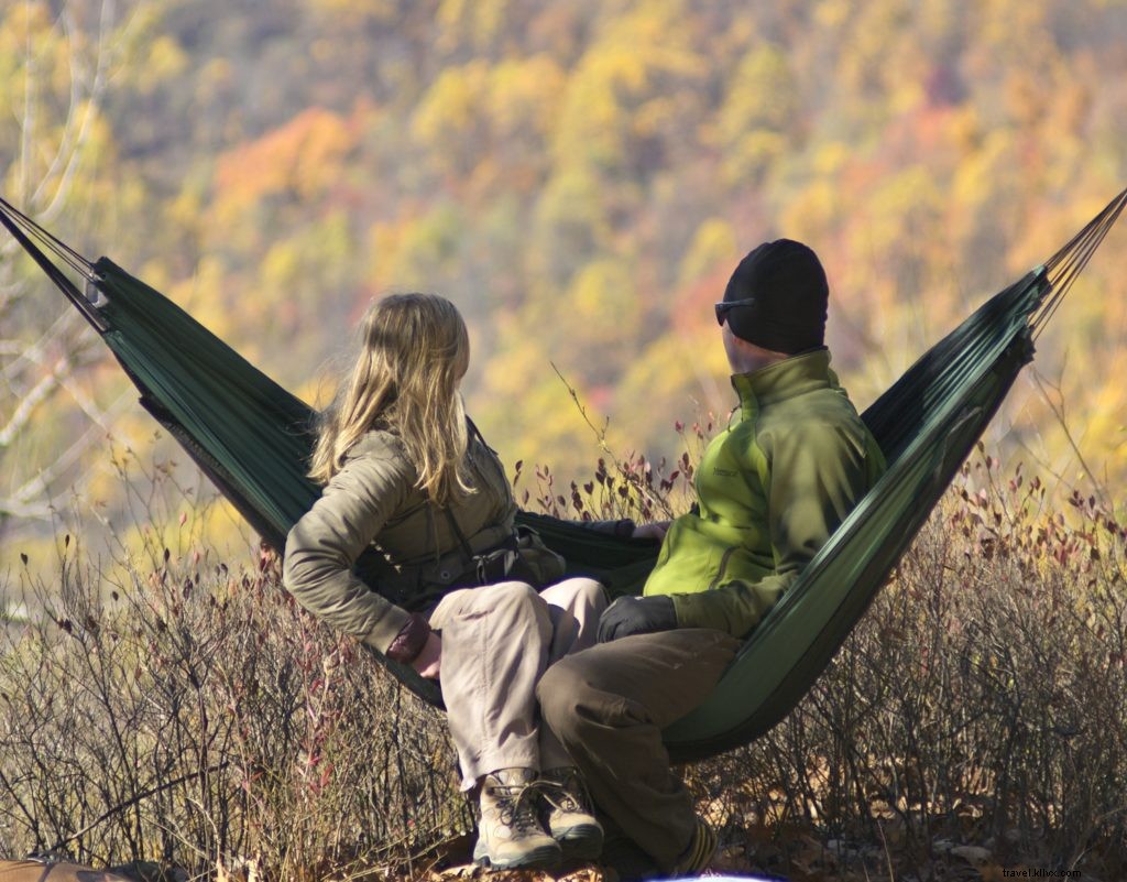 Todo lo que necesita saber sobre acampar en el Parque Nacional Shenandoah 