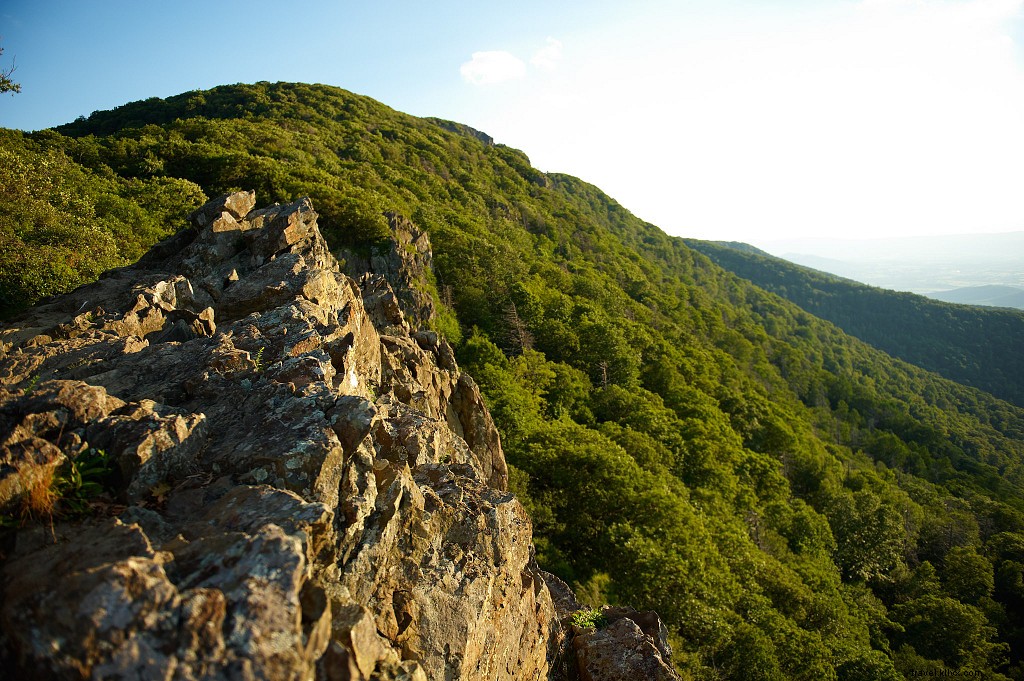 家族のためのバージニア州の5つの最高の風光明媚なハイキング 