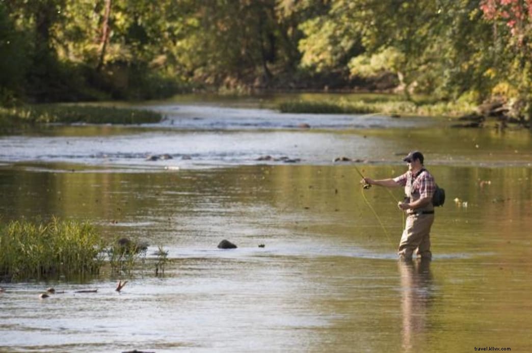 Las mejores experiencias para los amantes de la pesca en Blue Ridge de Virginia 