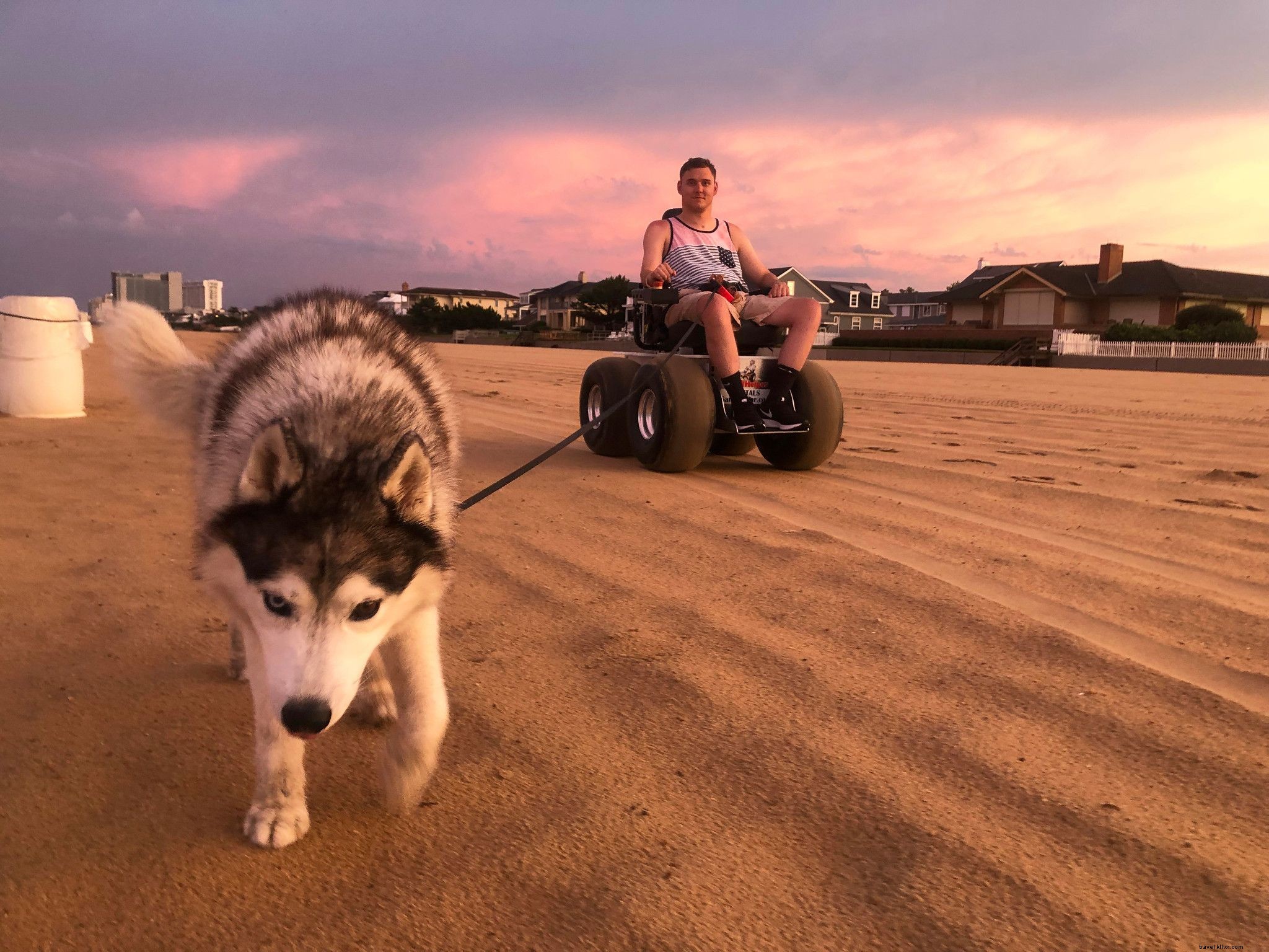 Le guide des plages de Virginie acceptant les animaux 