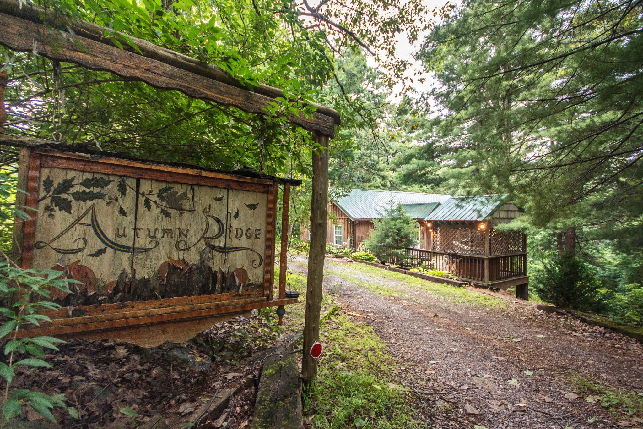 Plus de 20 chalets acceptant les animaux pour votre prochaine escapade en Virginie 