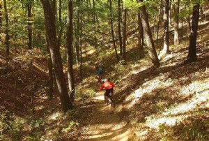 4 parcs d État de Virginie avec d incroyables sentiers de vélo de montagne 
