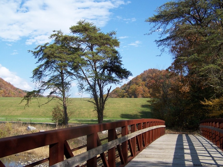 4 Taman Negara Bagian Virginia dengan Jalur Sepeda Gunung yang Luar Biasa 