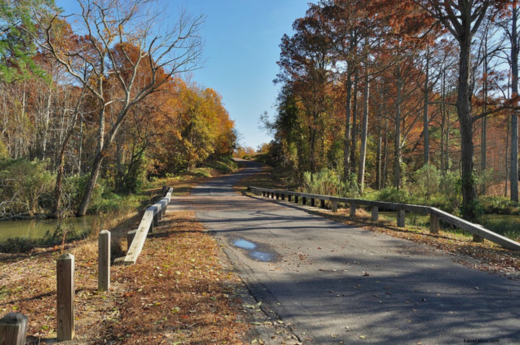 Los 12 mejores caminos escénicos de los parques estatales de Virginia 