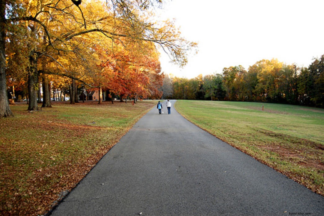 Le 12 migliori strade panoramiche dei parchi statali della Virginia 