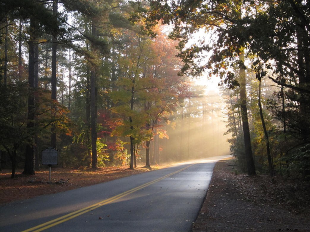 12 Jalan Indah Terbaik di Taman Negara Bagian Virginia 