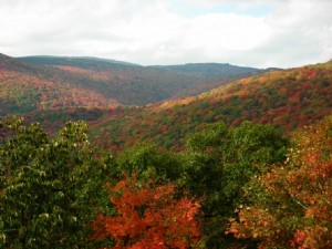 Onde encontrar as melhores cores de outono na Virgínia 