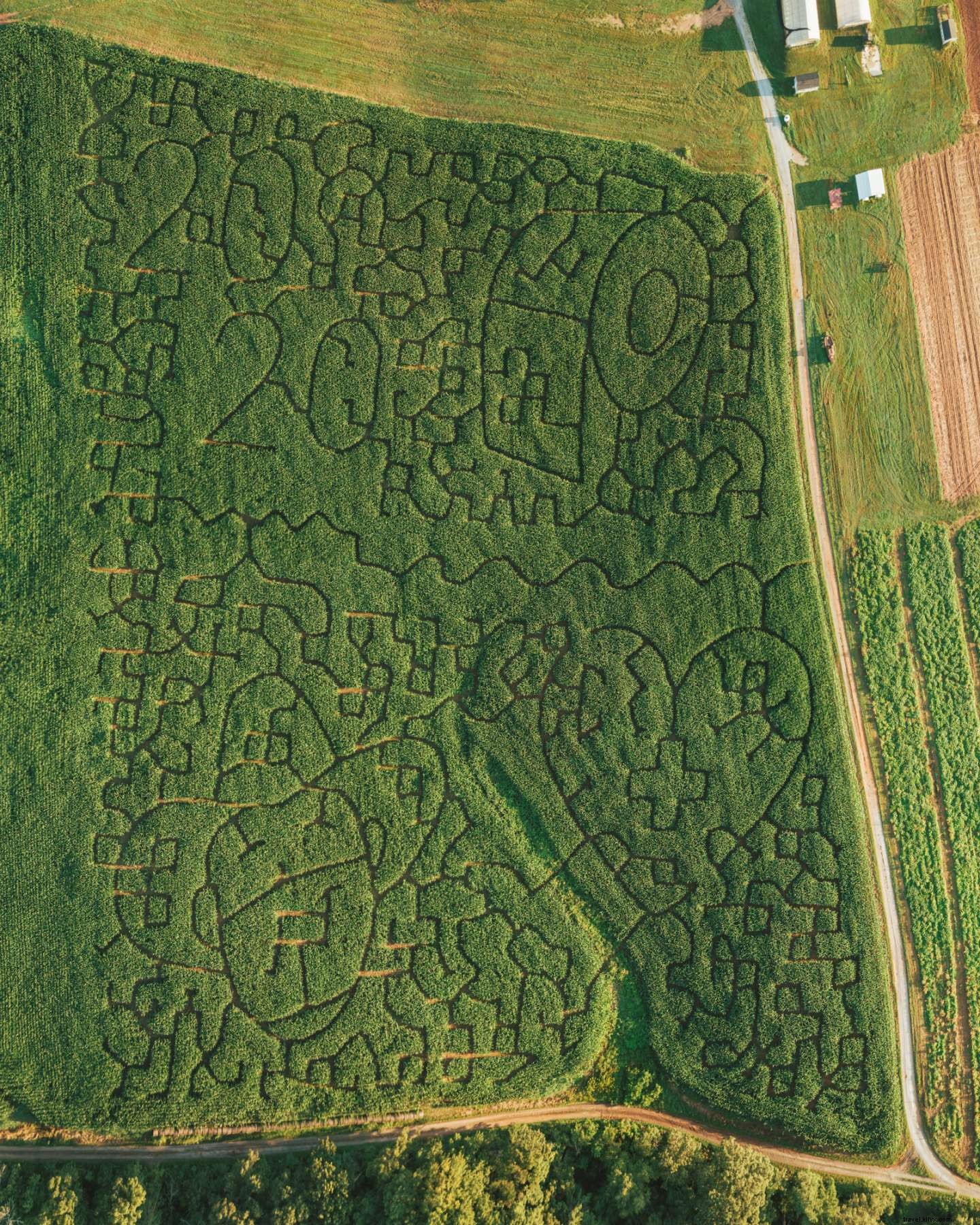 Tous ceux qui errent ne sont pas perdus :plus de 20 labyrinthes de maïs et potirons à visiter cet automne 