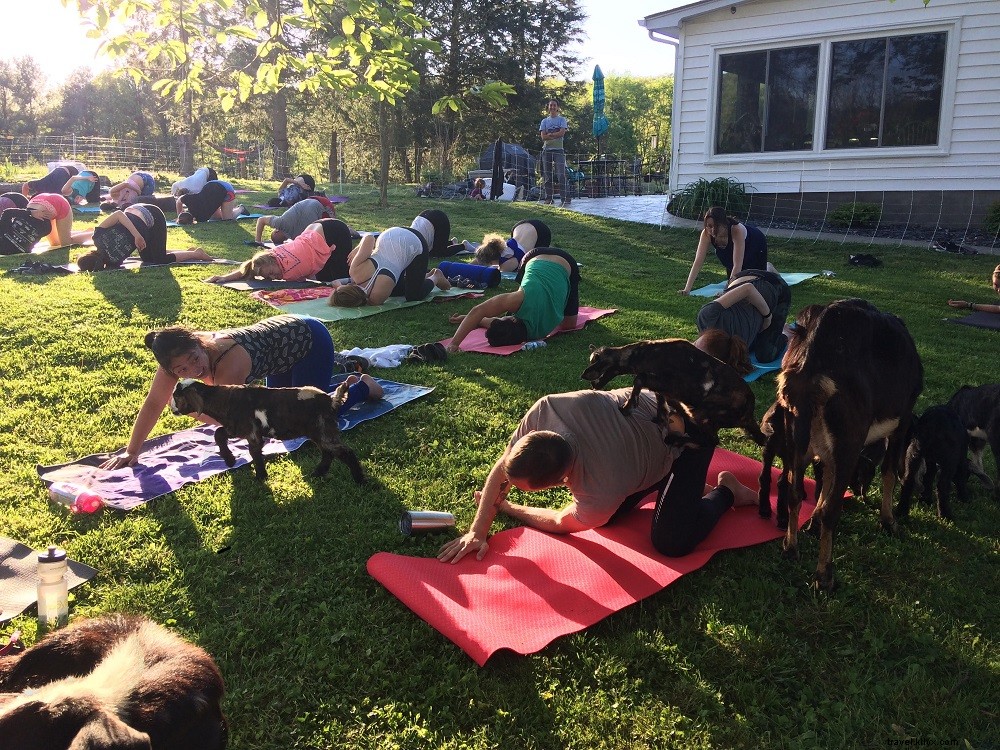 Encontre sua paz interior nestes 9 eventos de ioga alternativo na Virgínia 