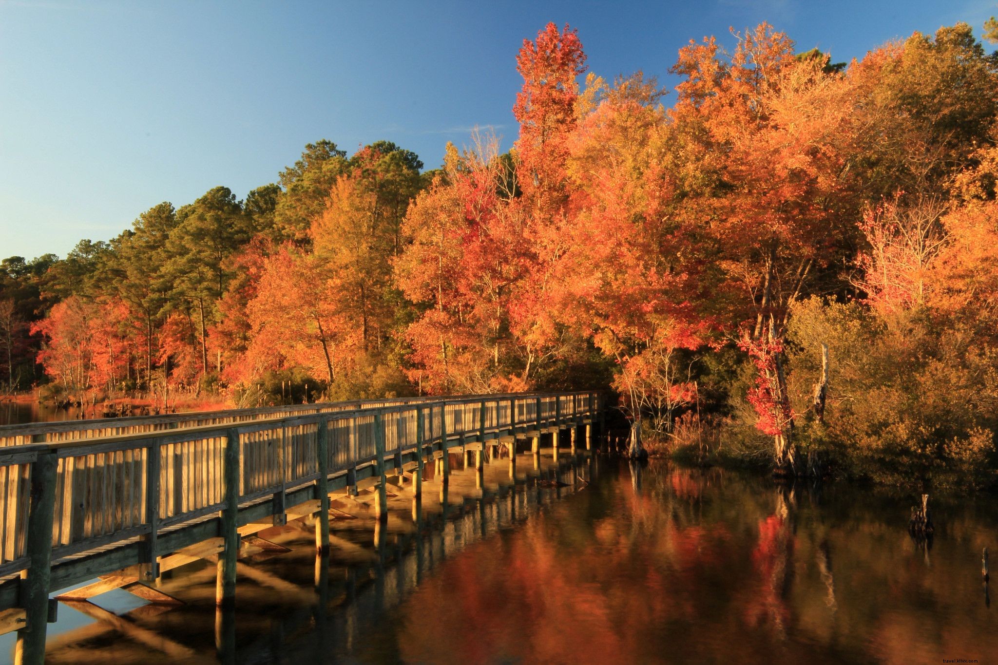 10 balades à vélo en famille en Virginie 