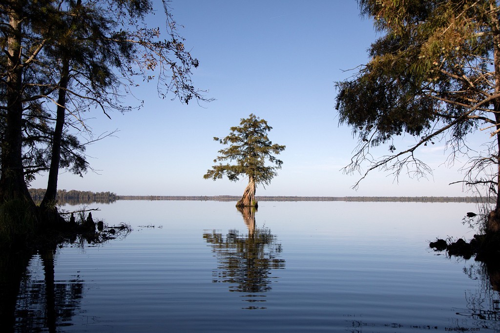 20 destinos de remo em águas planas na Virgínia 