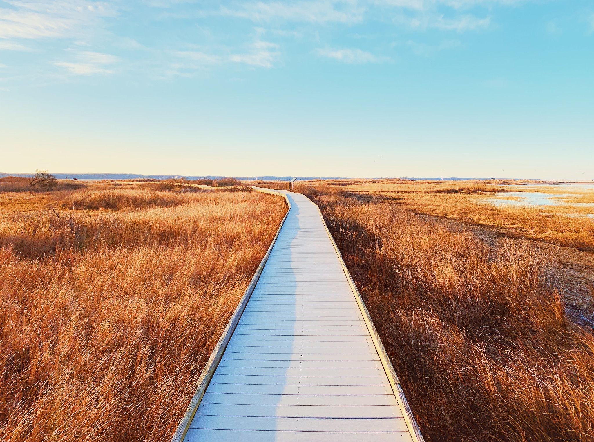 Les journées sans frais 2021 dans les parcs nationaux de Virginie 