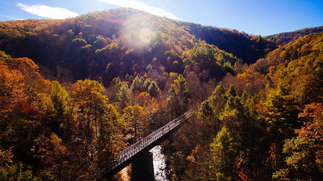 10 escursioni panoramiche vicino alle cantine della Virginia 