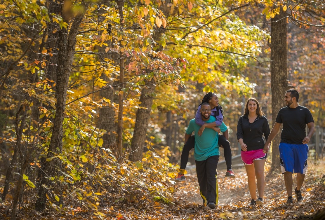 10 ótimas caminhadas na Virgínia para ver a folhagem de outono 