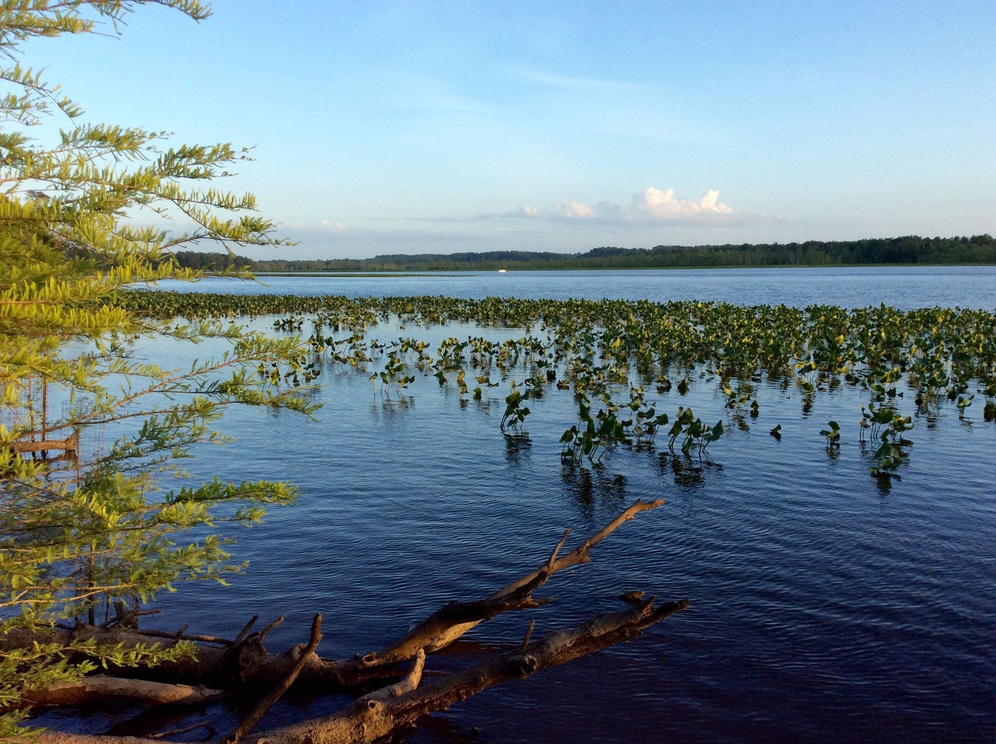 10 fantastiques chars familiaux en Virginie 