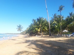 5 EXPÉRIENCES DE VOYAGE INCROYABLES EN RÉPUBLIQUE DOMINICAINE 