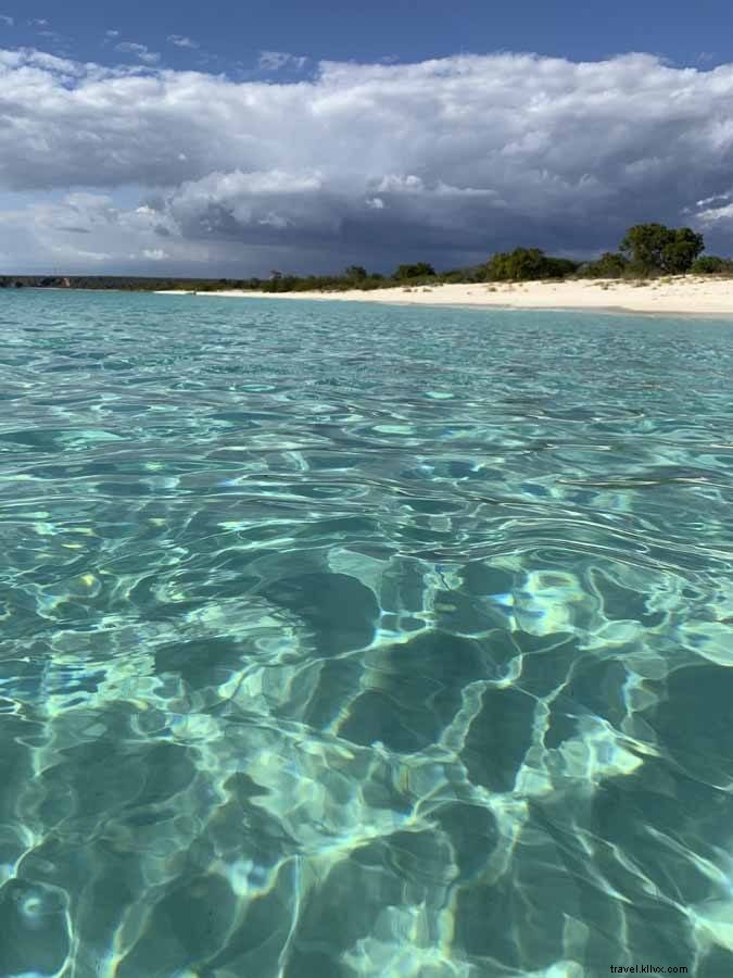 Bahía de Las Águilas – La meilleure plage de la République dominicaine 