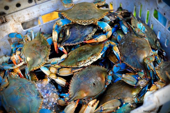 Comment faire du crabe dans le sud-ouest de la Louisiane 