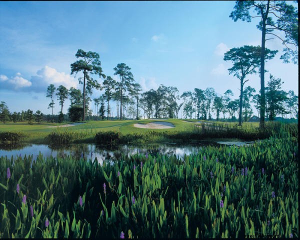 Aperfeiçoe seu swing nos campos de golfe do sudoeste da Louisiana 