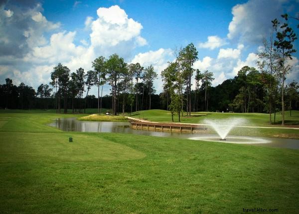 ルイジアナ南西部のゴルフコースでスイングを完璧に 