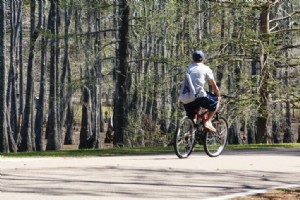 In bicicletta nel Lago Charles 