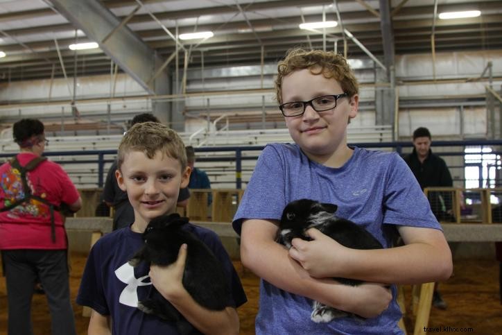 3 motivi per dare un occhiata all Iowa Rabbit Festival 