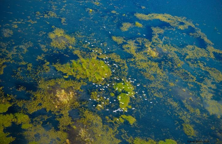 Lago Charles visto do céu:história fotográfica aérea 