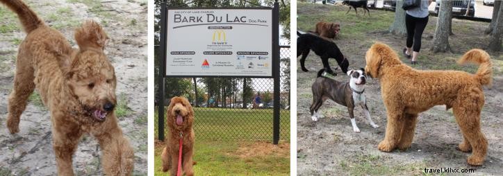 Lugares que admiten perros en Lake Charles 