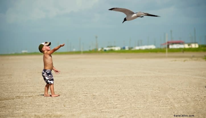 Fun in the Sun - 3 Pantai di Louisiana Barat Daya Yang Harus Anda Kunjungi 