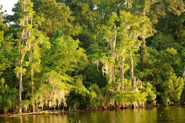 6 Hal yang Dapat Dilakukan pada Hari Minggu di Danau Charles/Louisiana Barat Daya 