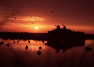 Caza de patos en el suroeste de Louisiana 